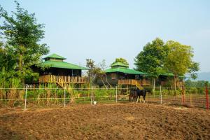 Maa Ashapura Resort