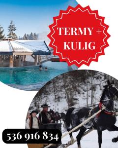 Cicha Woda 300 m od Gorący Potok i Termy Szaflary