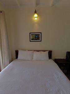 Moksha at Infinity Valley