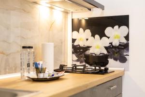 MODERN Studio ApArt Hotel - near AquaPark Amazonia and Hospitals Babes and Cardiology