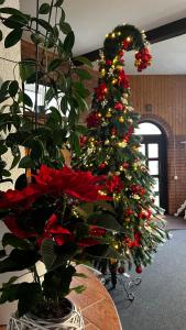 АНАСОЛЬ з чаном - джакузі басейн з підігрівом