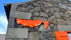 Casa Baleia Laranja Ocean-Front