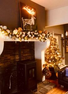 Pakhuis Bed and Breakfast Unique