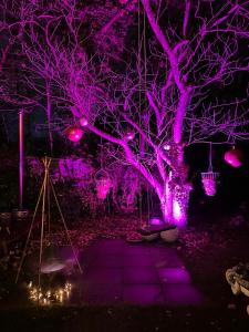 Pakhuis Bed and Breakfast Unique