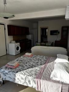 Red House- Camera per quattro