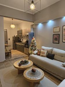 Elichrysos GuestHouse Konitsa