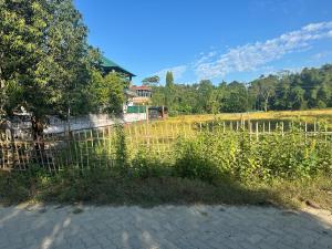 Toncheng Homestay