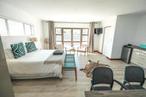 Abalone at Hermanus Reefs