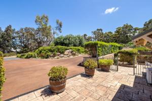 Westend Studio - Cozy King Stay on 5 Acres