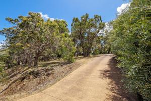 Westend Studio - Cozy King Stay on 5 Acres