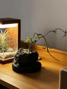 YeoYooJae-동대문 주차가능 짐보관 회기역 가족여행 경희대 외국어대 고려대 종로 명동