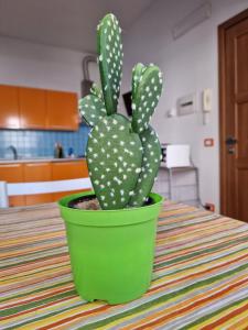 Case destate Mondello