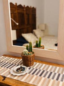 Villa Mare Bella Chao sea view private heated solar pool AC