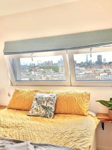 Central London Chelsea penthouse