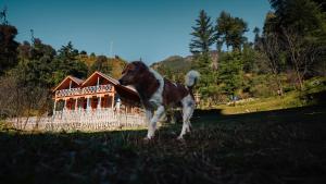 Selah by soho house