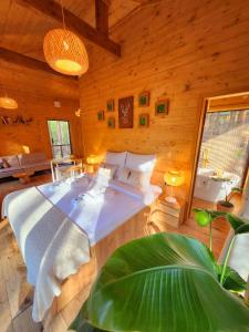 Tree Houses Olszanka