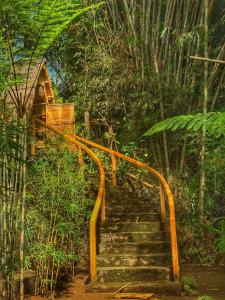 Bamboohouse pondok salacca #salacca inn