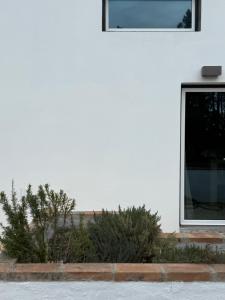 Global Chill Farm Loft