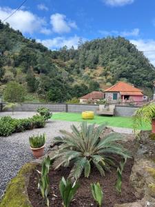 Roots Guesthouse - A