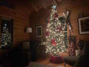 The Mountainbriar Lodge