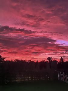 Mirador Verde By Nala