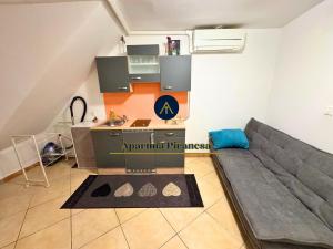 Apartma Piranesa III