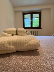 Bianchina - Bilocale con giardino privato