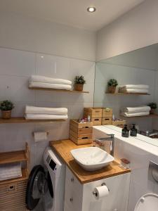 Modern loft at the heart of Museum district with free bikes or Audi up request