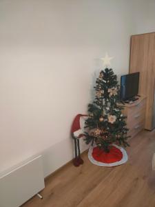 Apartment B34, complex Sokolitsite