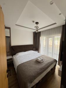 Mountain View Apartment - Vila Golija