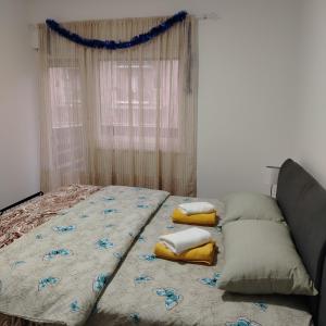 Apartman5