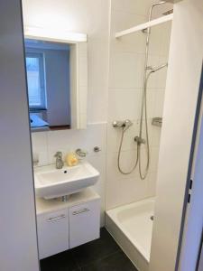 Central Zurich Flats with Balcony Hilda