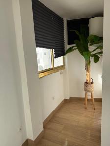 Valdelagrana vistas al mar, piscinas primera linea cadiz