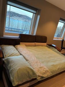 Alesund apartment fantastic view