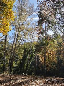 El Andén del Hueznar