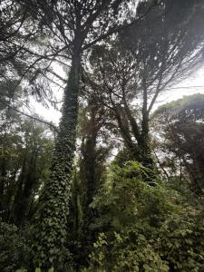 El Andén del Hueznar