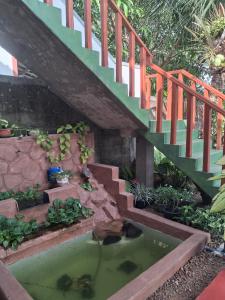 Peacock Holiday Mirissa