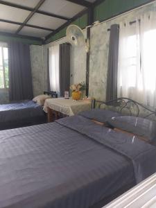 บ้านสวนชมดาว ปากช่อง