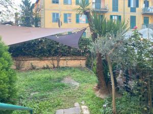 La tartaruga con la vela