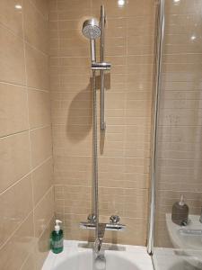 Stunning Bohemian 3 Bedroom Queen Square Apartment