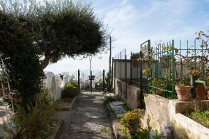 CORALIA Beach APARTMENT