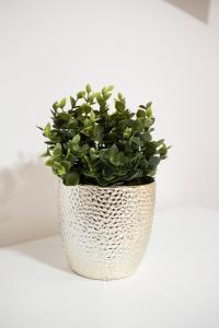 CORALIA Beach APARTMENT