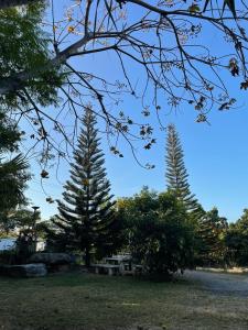 บ้านสวนชมดาว ปากช่อง