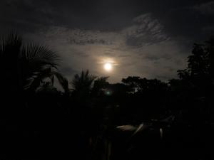 Southern Nest Villa Tangalle