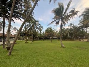 Zapo Villa