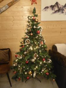 le chalet Cerdan - classé 3 étoiles - 5 personnes-2 chambres- parking -garage-jardin-WIFI-rénové en 2023