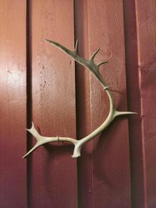 Rentola Lapland a peaceful and cozy cottage