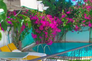 Villa avec piscine privée