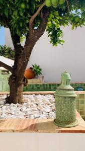 Casa da Se Modern Comfort Silves best choice
