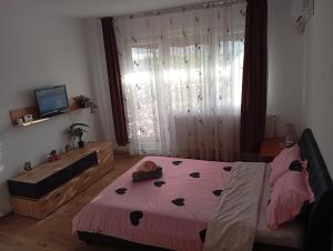 Apartament Craiova Targul de Craciun zona centrala